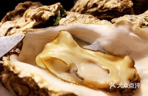 Pressure Cooker Oysters (5 lbs)
