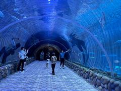 -华夏文旅海洋公园