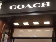 -COACH蔻驰(恒隆广场店)