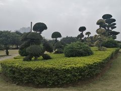 -南宁南湖公园