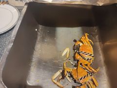 -上海虹桥宾馆味翠餐厅