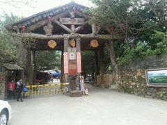 -天门沟九州驿站树上汤泉