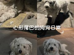 -大润发(梅兰东路店)