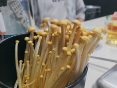 -海底捞火锅(吾悦国际广场店)