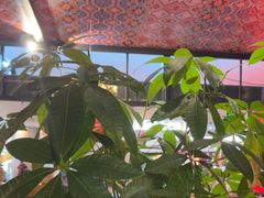 -吃饭皇帝大土家民族菜(正大广场店)