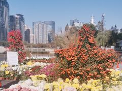 -西北湖绿化广场