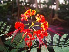 -国家植物园