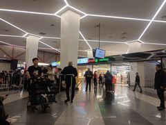 -谢列梅捷沃国际机场