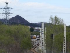-白水寺森林公园