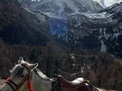 -亚拉雪山风景区
