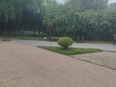 -唐城墙遗址公园