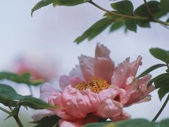 -渭滨公园