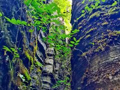 -梭布垭石林景区