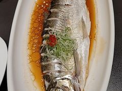 -聚鑫阁江浙菜·非遗传承技艺(金汇龙湖天街店)