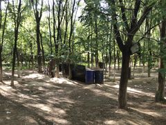 -亲兄弟真人CS团建拓展基地