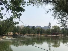 -渭滨公园