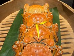 -成隆行·蟹王府(九江路店)