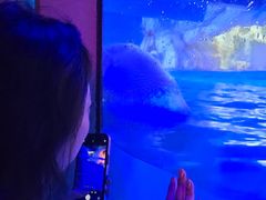 -蓬莱欧乐堡海洋极地世界