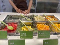 -Salud撒露欧洲冻酸奶(蓝色港湾店)