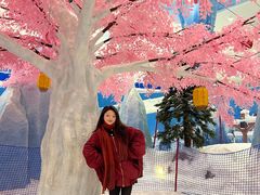 -湘江欢乐城欢乐雪域