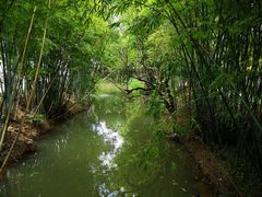 -林丰温泉度假山庄
