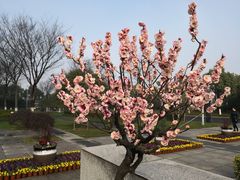 -无锡市市民中心