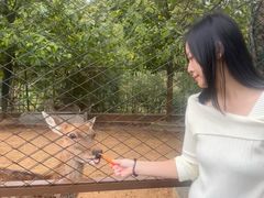 -森波拉奇妙世界