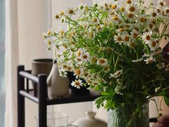 -循礼门鲜花花市(武汉循礼门店)