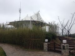 -帐篷客·溪龙茶谷度假酒店