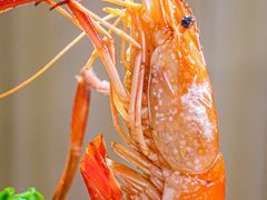 -哼蟹二将·烤肉酱蟹(合生汇店)