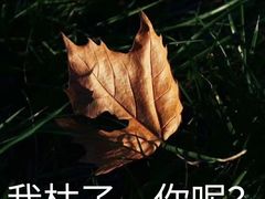 -S Team剧情密室(杭州龙翔桥店)