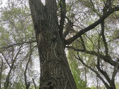 -水磨沟公园