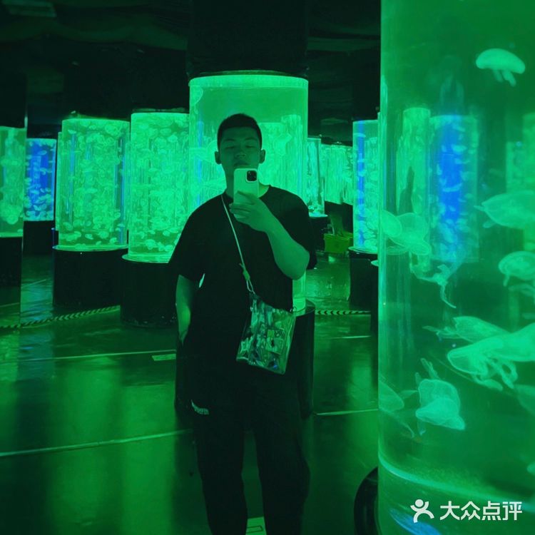 这个夏天这样玩｜大连老虎滩海洋公园攻略
