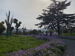 -石湖景区