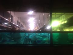 -大碗先生(株洲天虹店)