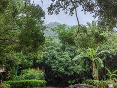 -七仙岭温泉国家森林公园