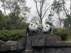 -都江堰中华大熊猫苑