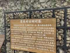 -康陵正德春饼宴26号