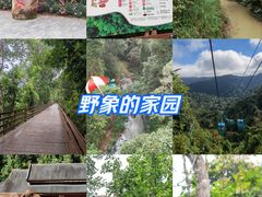 -野象谷景区