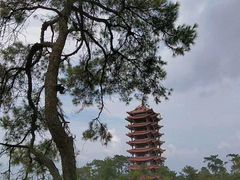 -缙云山景区