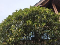 -山王坪喀斯特国家生态公园