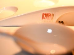 -凤凰湘语(浦东旗舰店)