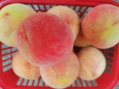 -宾湖农庄·农场特色(太湖龙之梦店)