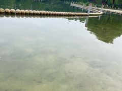 -滨湖塘西河公园