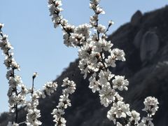-北京凤凰岭