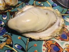 -蚝堡·生蚝海鲜烧烤物种起源•海肠捞饭(刘公岛店)