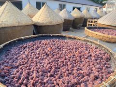 -苏州市吴中区光福窑上花果蜜饯厂