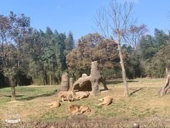 -杭州野生动物世界