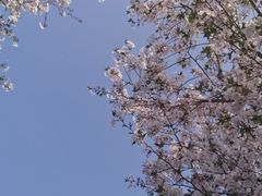 -广富林郊野公园