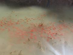 -桑干河大峡谷旅游区